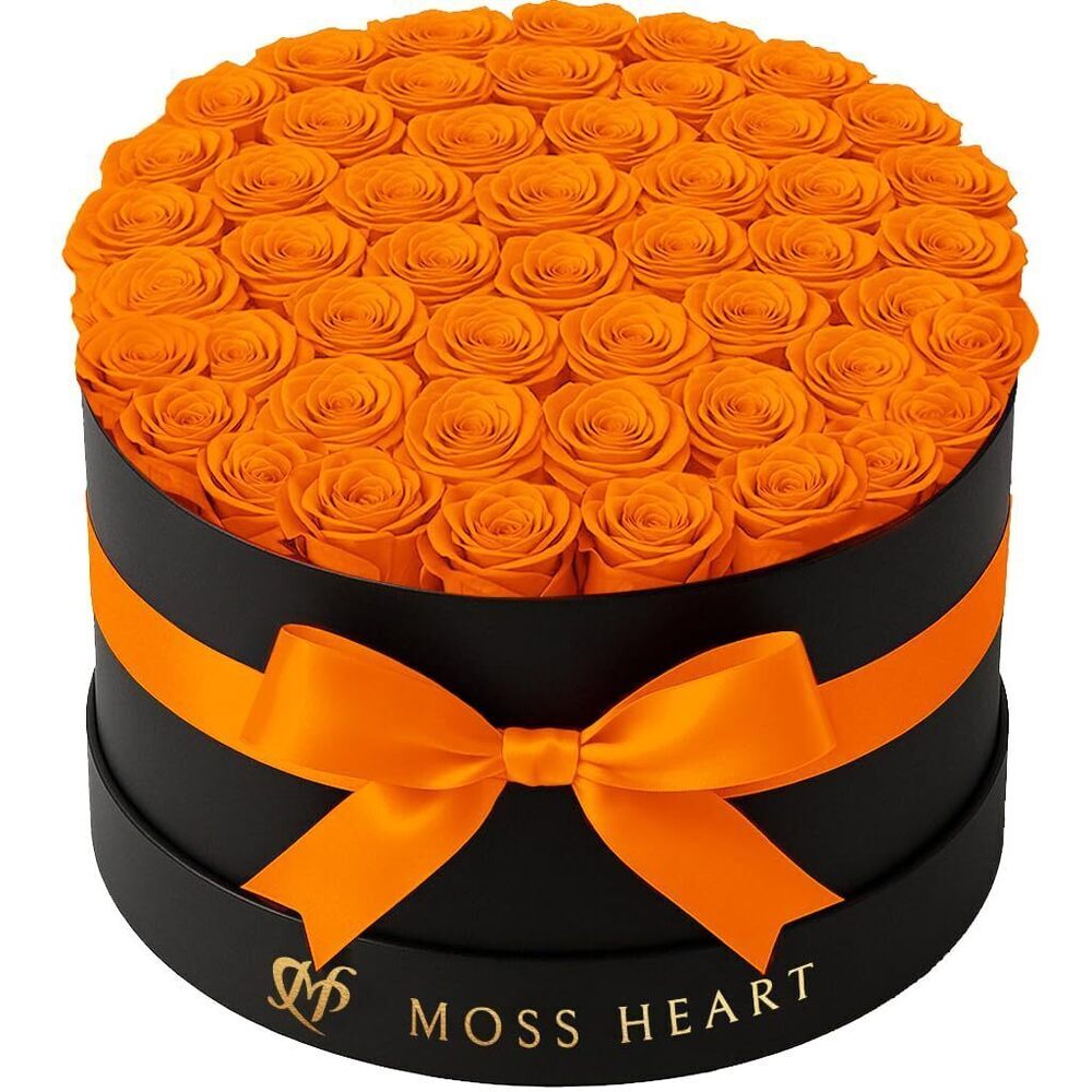 2123 50 Preserved Roses, Petite Forever Flowers for Delivery in Designer